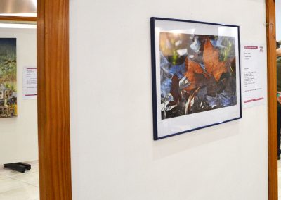 camino por las artes exposiciones casa de la provincia de buenos aires (7)