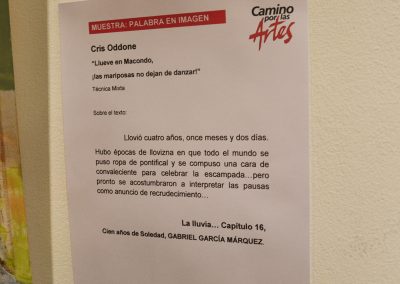 camino por las artes exposiciones cc sabatopalabra en imagen (38)