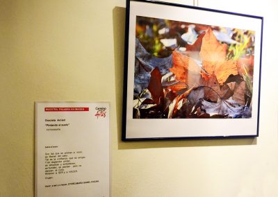 camino por las artes exposiciones cc sabatopalabra en imagen (88)