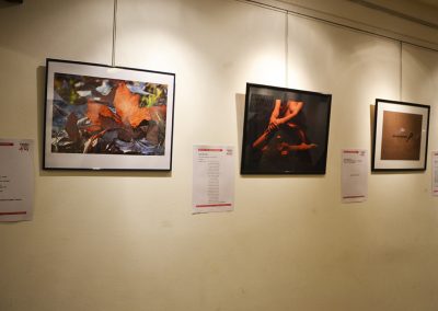 camino por las artes exposiciones cc sabatopalabra en imagen (99)