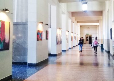 camino por las artes exposiciones facultad de derecho Portada