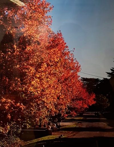 camino-por-las-artes-foto-perfil-bruno-moreno-4