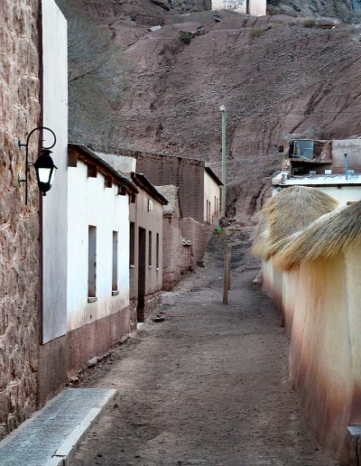 camino-por-las-artes-foto-perfil-graciela-arcieri-2