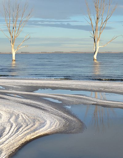 camino-por-las-artes-foto-perfil-graciela-arcieri-3