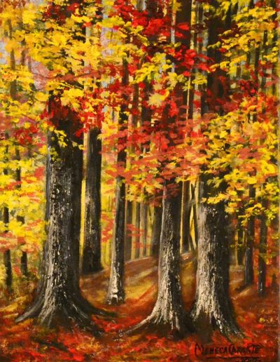 camino-por-las-artes-foto-perfil-meneca_carrete-2