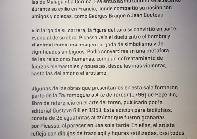camino por las artes visita a museos larreta (2)