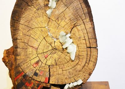 camino por las artes exposicion arte objeto de buena madera ungs -obras (30)