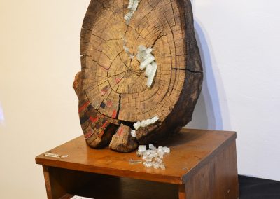 camino por las artes exposicion arte objeto de buena madera ungs -obras (41)