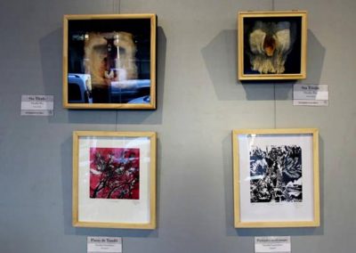 camino-por-las-artes-exposicion-muestra-mujeres-salon-municipal-leon-gallardo-san-miguel (30)