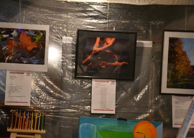 camino-por-las-artes-novedades-noche-de-los-libros-2018 (22)